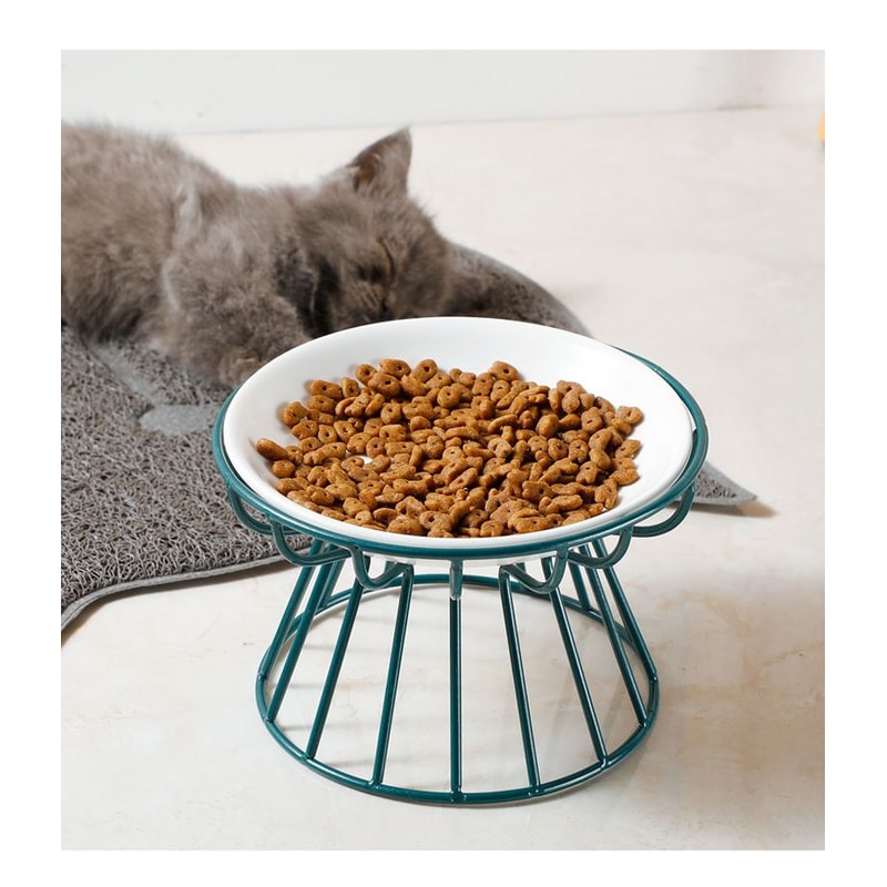 Elevated Ceramic Pet Food Bowl With Stand 11