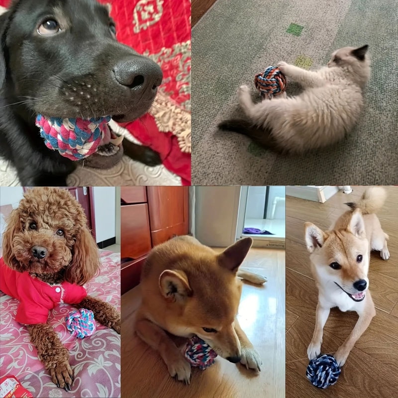 Colorful Rope Ball Chew Dog Toy 5