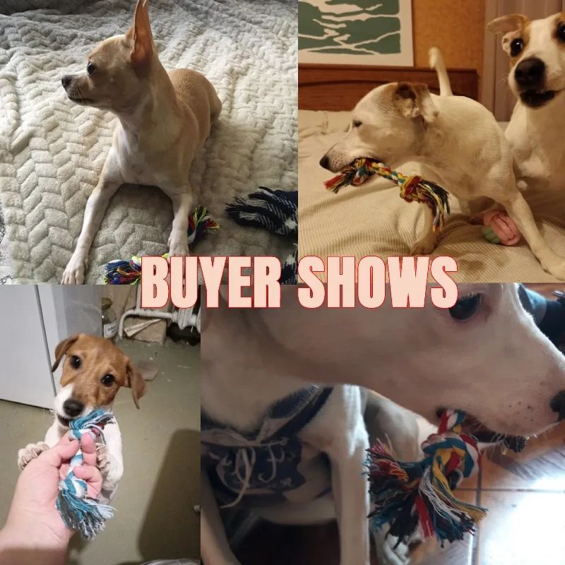 Braided Knot Rope Chew Dog Toy 5