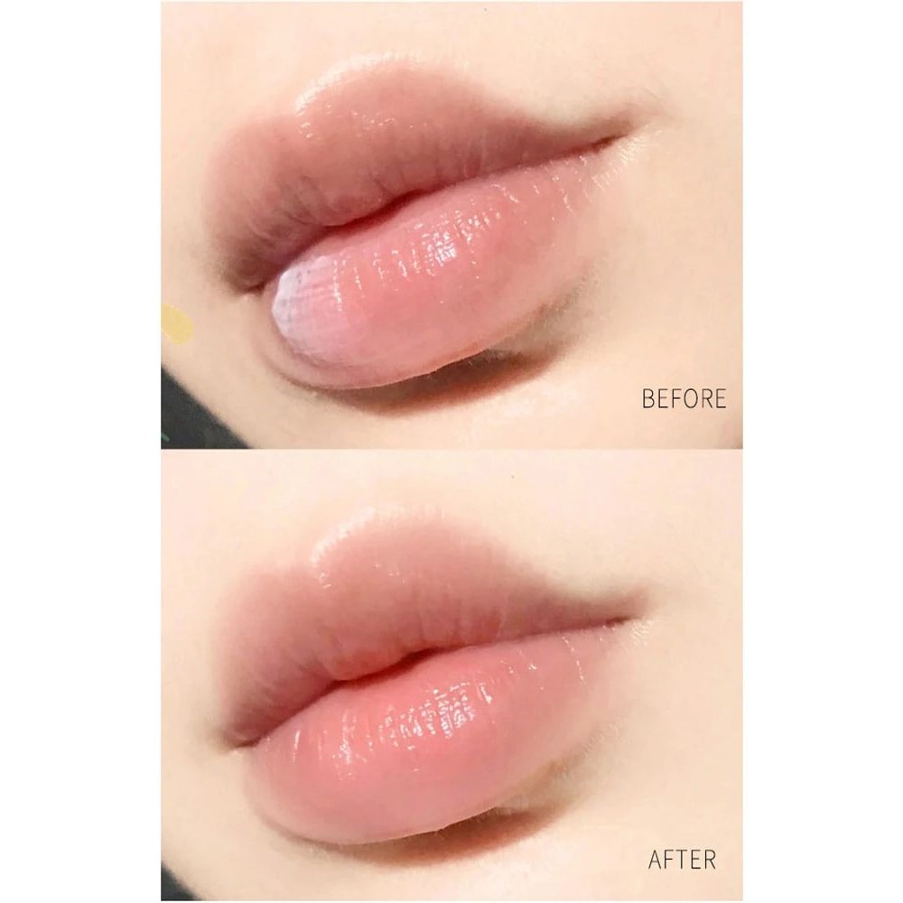 Natural Healing Moisturizing Lip Balm 12