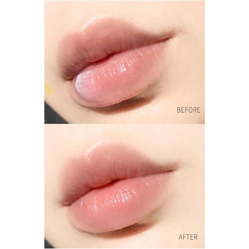 Natural Healing Moisturizing Lip Balm 12