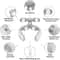 Smart U Shaped EMS Neck And Shoulder Massager 4
