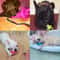 Interactive Rubber Pet Chew Toy 6