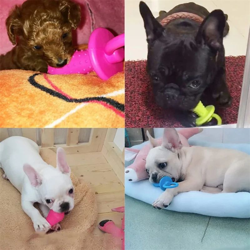 Interactive Rubber Pet Chew Toy 6