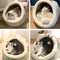 Cozy Cave Cat Bed 5