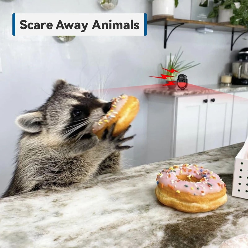 Wireless PIR Motion Alarm 12