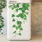 Floral Vine Wall Decals 3