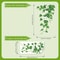 Floral Vine Wall Decals 5