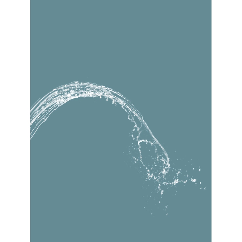 Dual Nozzle Non Electric Bidet 20