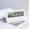 Thermo Hygrometer Alarm Clock 1