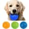 Squeaky Pet Chew Ball Toy 1