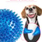 Squeaky Pet Chew Ball Toy 7