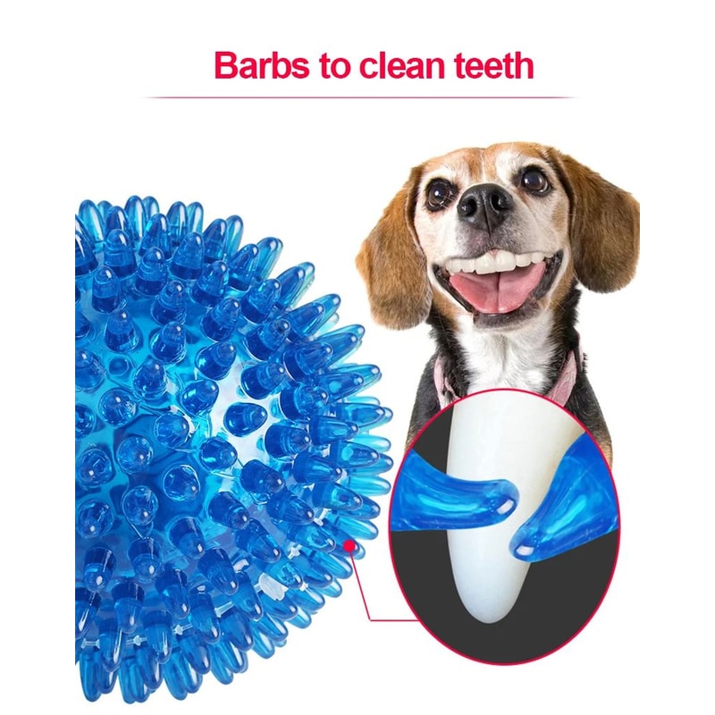 Squeaky Pet Chew Ball Toy 7