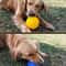Squeaky Pet Chew Ball Toy 8
