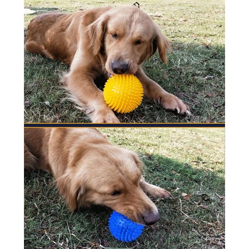 Squeaky Pet Chew Ball Toy 8
