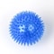 Squeaky Pet Chew Ball Toy 11