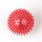 Squeaky Pet Chew Ball Toy 13