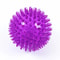 Squeaky Pet Chew Ball Toy 14