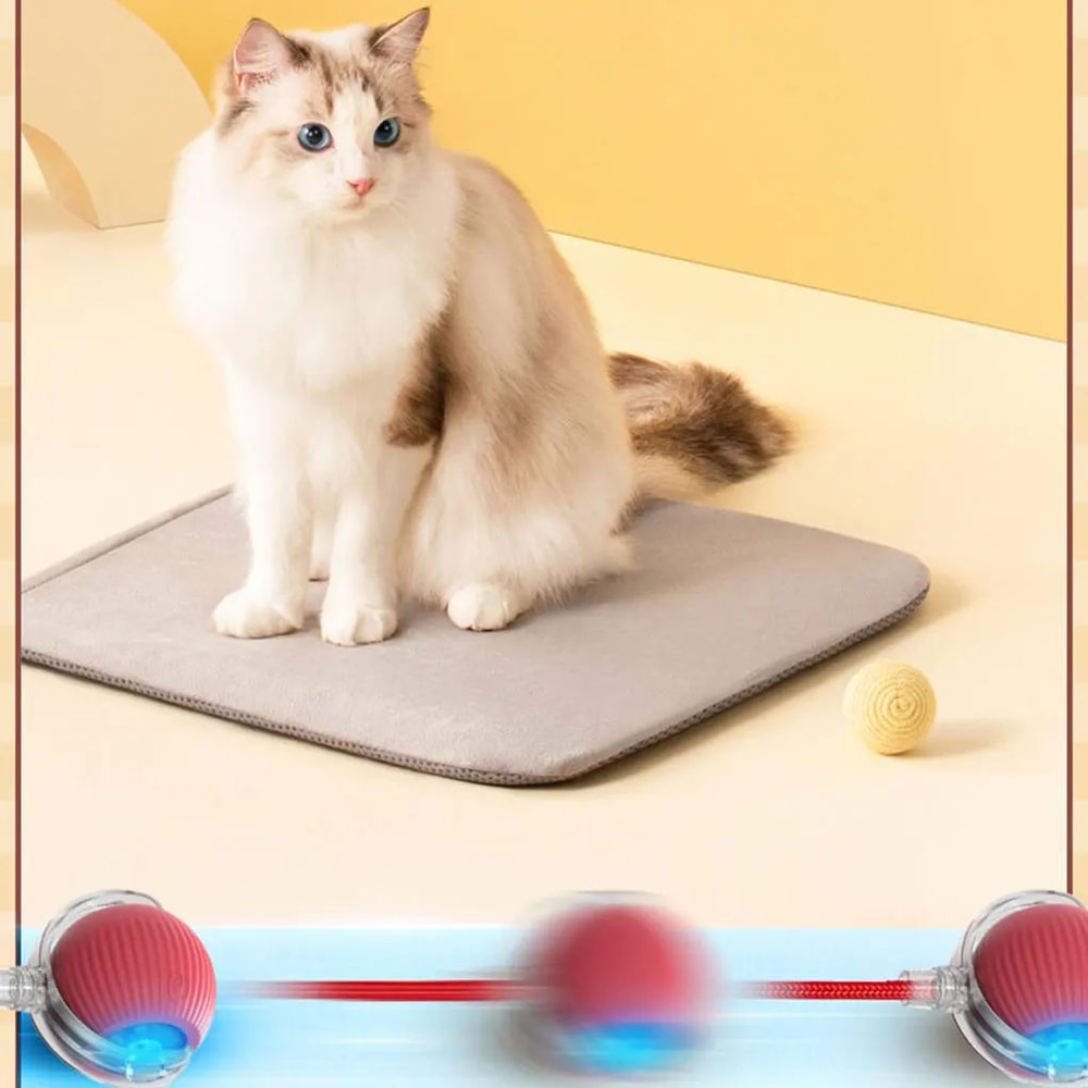 Automatic Interactive Rolling Cat Ball 1