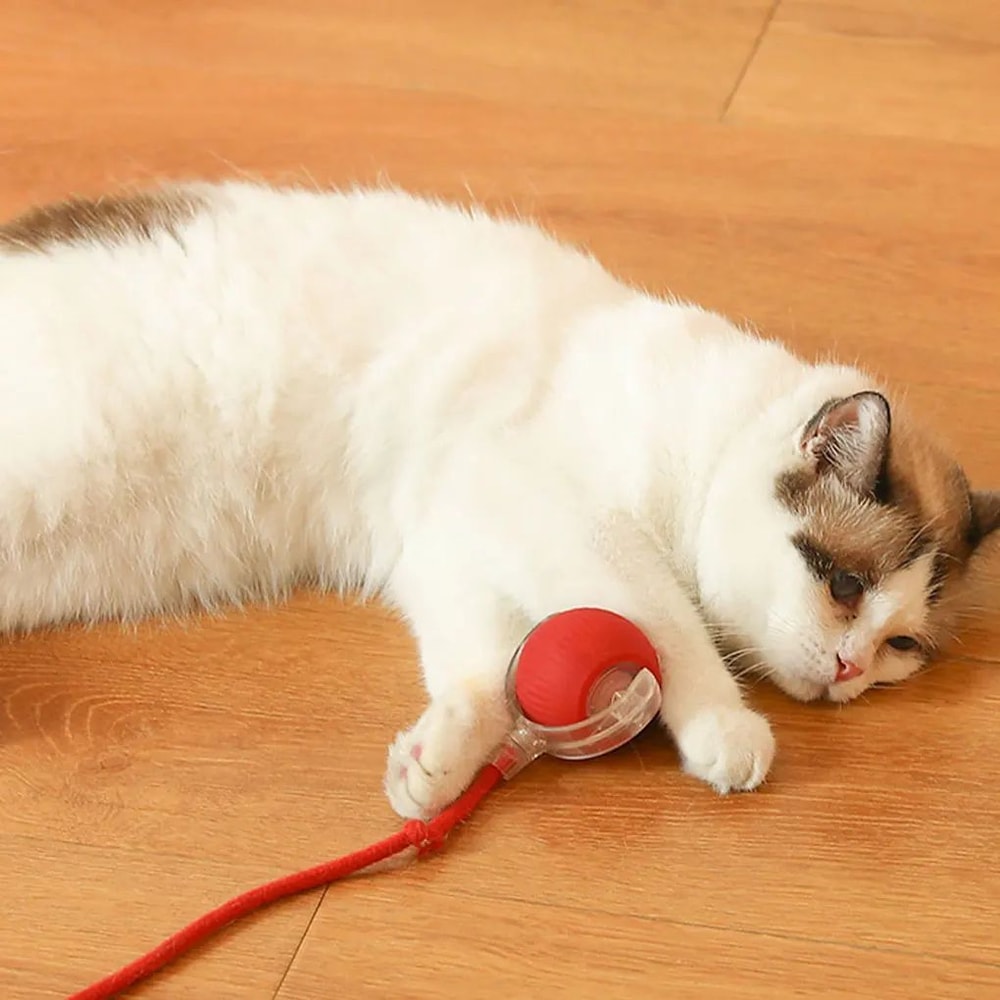 Automatic Interactive Rolling Cat Ball 3