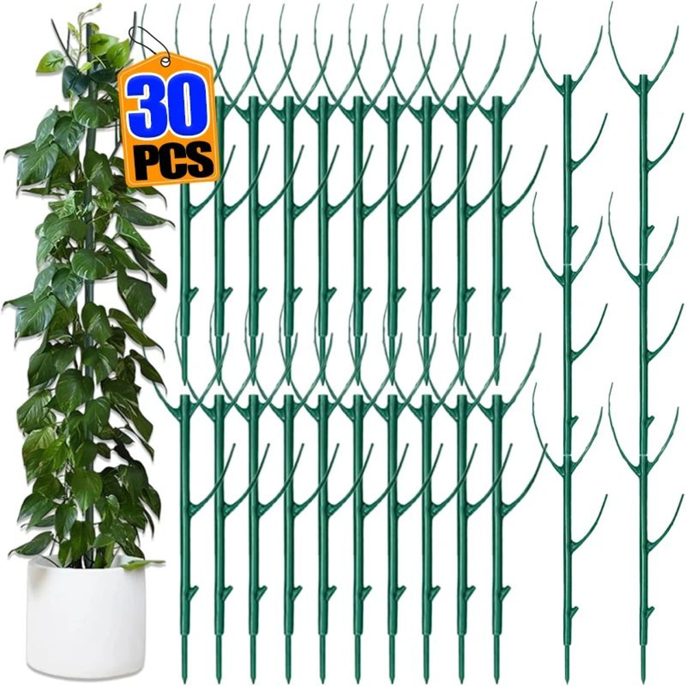 Plant Support Stakes For Climbing Plants 0