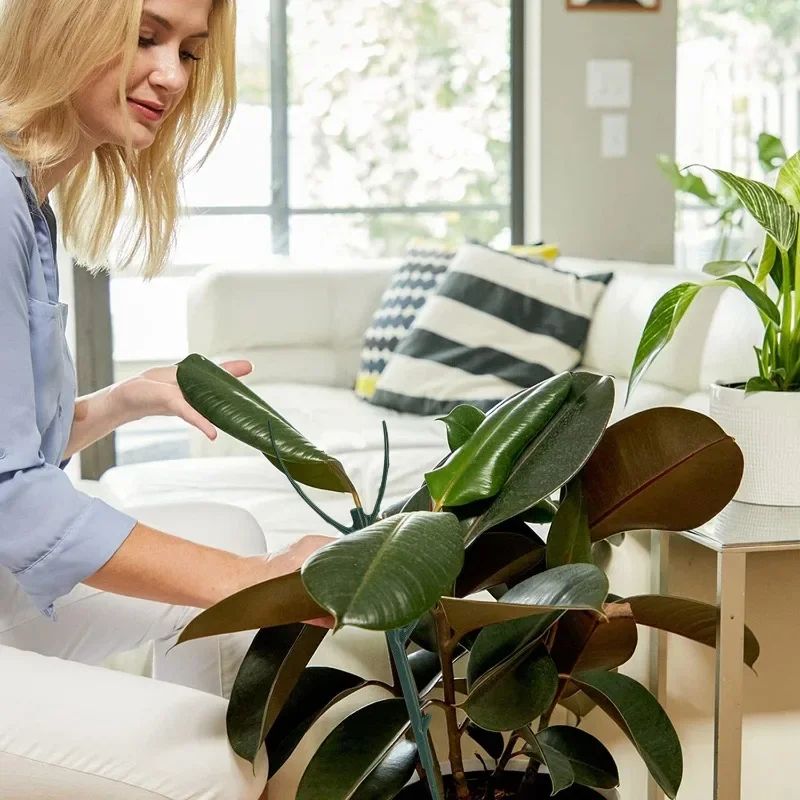 Plant Support Stakes For Climbing Plants 1