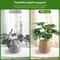 Plant Support Stakes For Climbing Plants 2