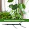 Plant Support Stakes For Climbing Plants 3