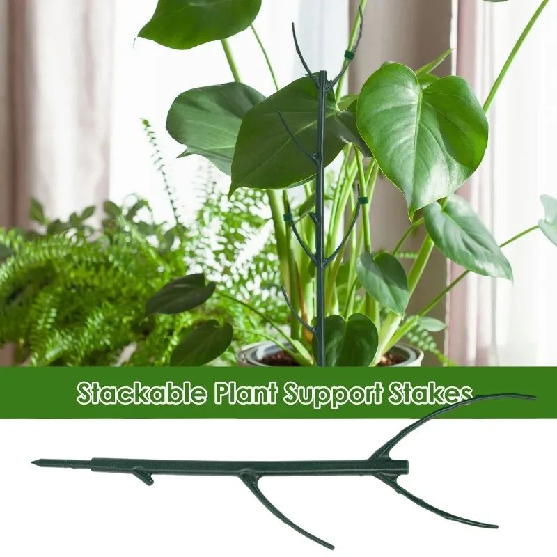 Plant Support Stakes For Climbing Plants 3
