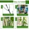 Plant Support Stakes For Climbing Plants 4