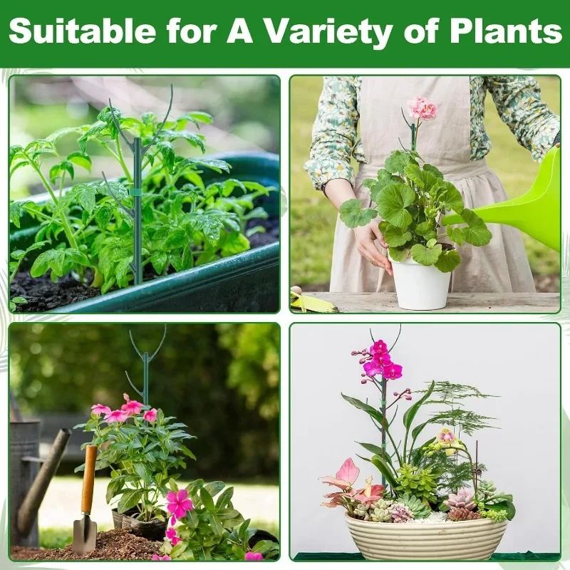 Plant Support Stakes For Climbing Plants 5