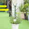 Plant Support Stakes For Climbing Plants 7