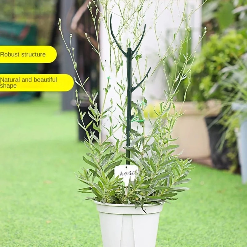 Plant Support Stakes For Climbing Plants 7