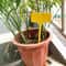 Reusable T Type Garden Plant Labels 1