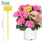 Reusable T Type Garden Plant Labels 5