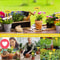 Reusable T Type Garden Plant Labels 7