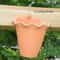 Wall Mounted Hanging Flower Pot 7