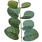Artificial Eucalyptus Leaf Stems 6