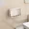 Wall Mounted Double Drain Soap Holder 10