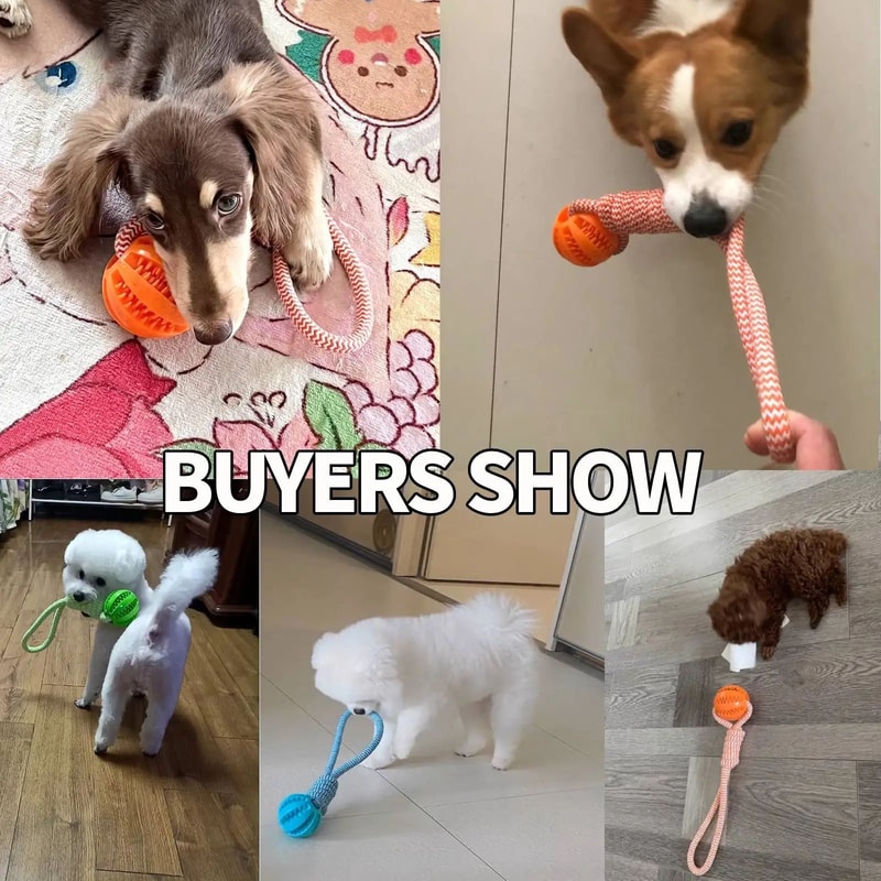 Interactive Chew And Treat Dog Toy Balls 8