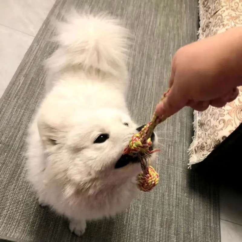 Durable Knot Rope Chew Toy For Pets 5