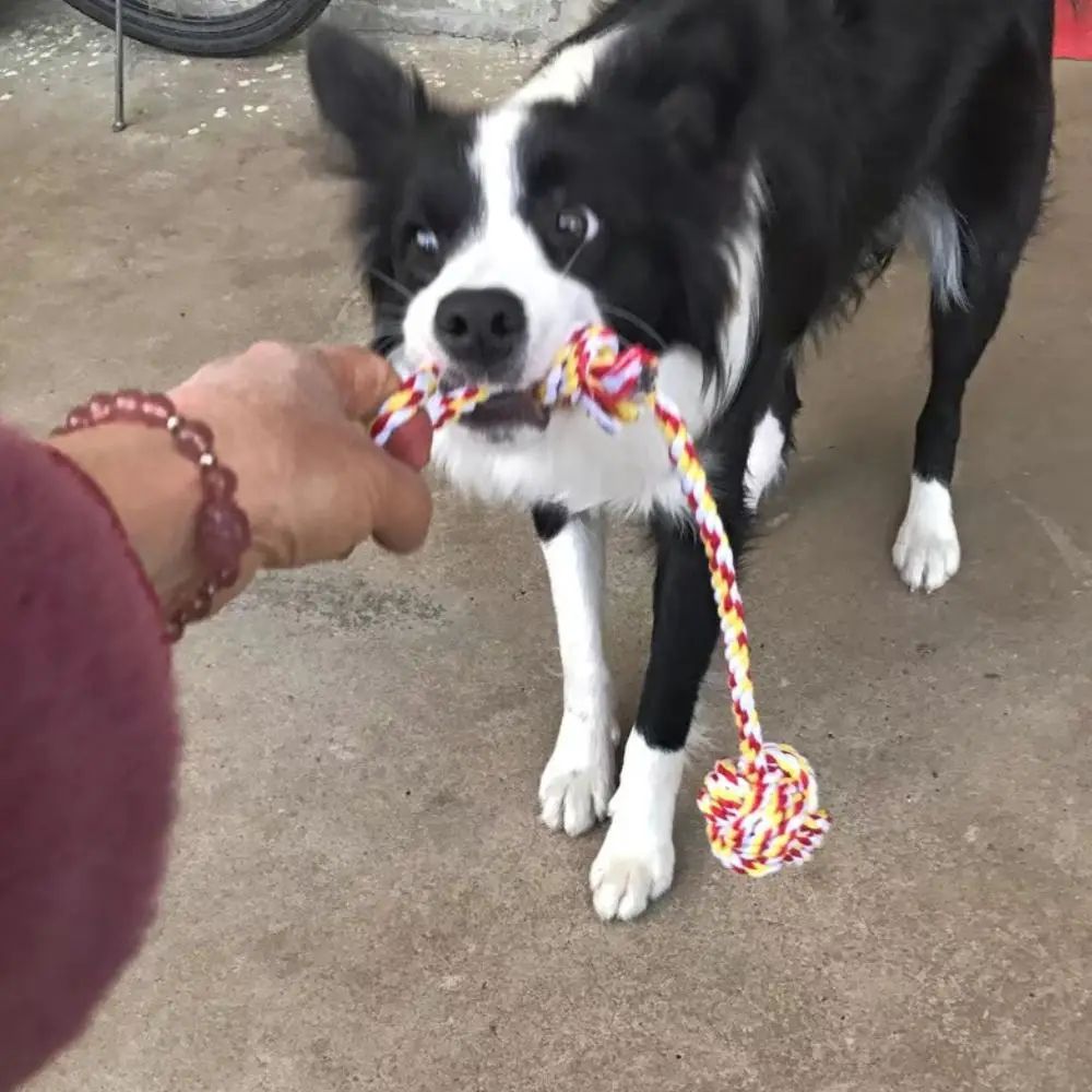 Durable Knot Rope Chew Toy For Pets 6