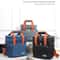 Double Layer Large Capacity Insulated Lunch Bag 12