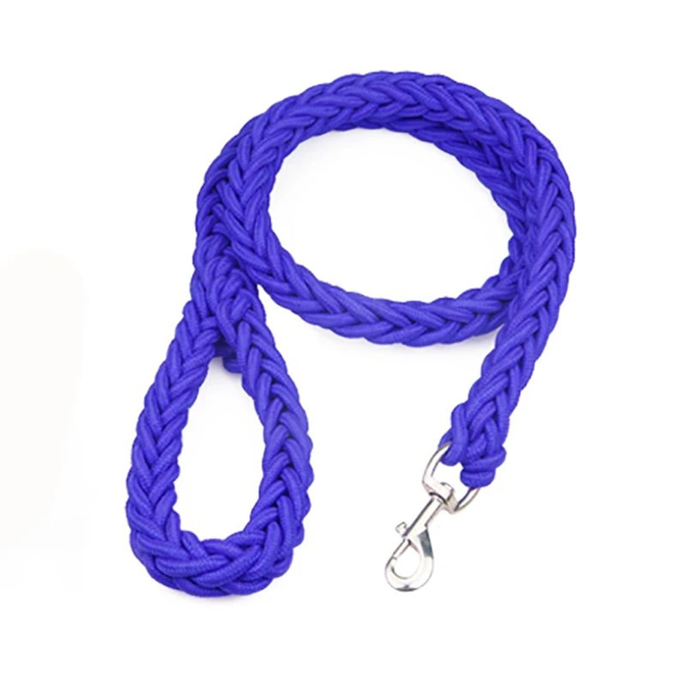 Nylon Dog Harness Leash Set 4
