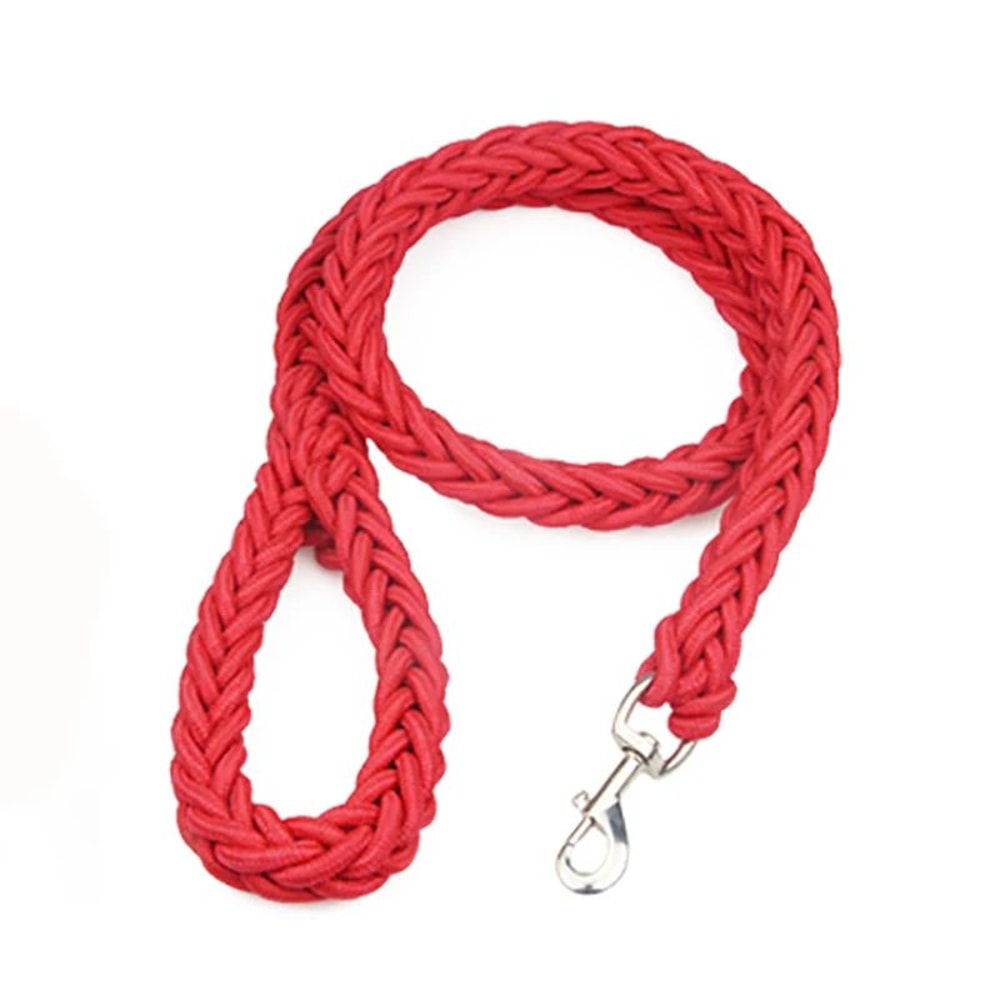 Nylon Dog Harness Leash Set 5