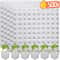 Hydroponic Plant Growing Sponge Set 0