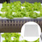 Hydroponic Plant Growing Sponge Set 4