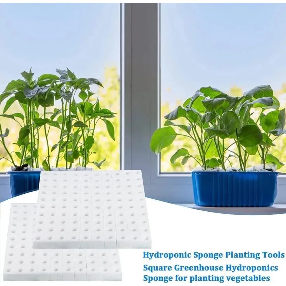 Hydroponic Plant Growing Sponge Set 5