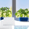 Hydroponic Plant Growing Sponge Set 5