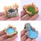 Miniature Fairy Garden Ornament Set 8
